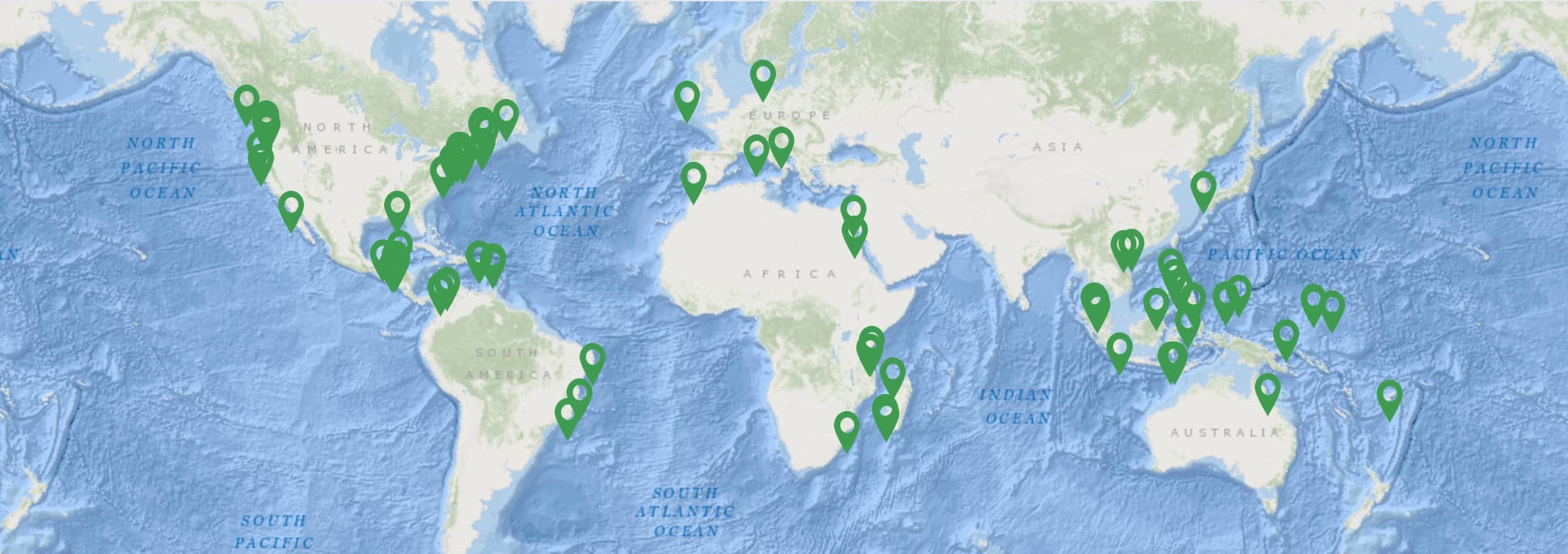 Global Seagrass Map