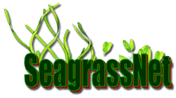 SeagrassNet Logo